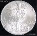 2009 Silver Eagle Dollar BU - In Stock and Shipping Now