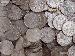 Morgan Silver Dollars 1878-1904 10 Coin Circulated Lot XF+ Condition