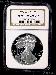 2004-W American Silver Eagle Dollar PROOF in NGC PF 69 ULTRA CAMEO
