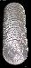 1887 BU Morgan Silver Dollars from Original Roll