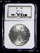 1924 Peace Silver Dollar in NGC MS 65