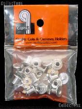 Capital Plastics Metal Screws and Posts - Dozen