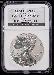 2006-P American Silver Eagle Dollar REVERSE PROOF in NGC Special Label "Eagle 20th Anniversary" PF 69