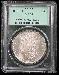 1878 8TF Morgan Silver Dollar in PCGS MS 64 (Eight 8 Tail Feathers)