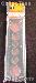 Capital Plastics 2x7.5 Holder YEAR SET w/ LARGE DOLLAR