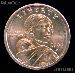 2004-D Sacagawea Dollar BU 2004 Sacagawea SAC Dollar