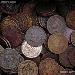 Indian Head Cent Rolls - 50 Pennies