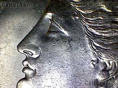 Face of Liberty Close Up for an 1887 Morgan Silver Dolla