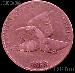 1858 Flying Eagle Cent LARGE LETTERS G-4 or Better Flying Eagle Penny