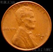 click for larger images