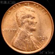 1936-D Lincoln Wheat Cent GEM BU RED Penny for Album