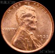 1935-D Lincoln Wheat Cent  GEM BU RED Penny for Album