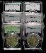 Morgan Silver Dollar 1878-1904 in PCGS MS 64 Mixed Dates and Mint Marks