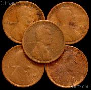 1909-S Lincoln Wheat Cent KEY DATE Filler