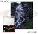Photo Sleeves 8x10 by BCW 100 Pack 8 x 10 2 MIL Polypropylene