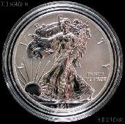 2011-P American Silver Eagle REVERSE PROOF from 25th Anniversary Set in Capsule