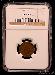 1877 Indian Head Cent KEY DATE in NGC VG 8 BN (Brown)