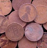 1911-D Lincoln Wheat Cent BETTER DATE Filler