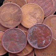 1912-D Lincoln Wheat Cent BETTER DATE Filler