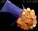 Grab Bag of World Coins Over 500 DIFFERENT Coins & Over 5 Pounds, Foreign Coins Lot