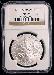 2010-P Boy Scouts Commemorative Uncirculated Silver Dollar in NGC MS 69