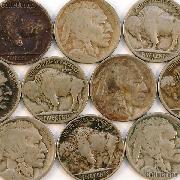 1916-D Buffalo Nickel BETTER DATE Filler
