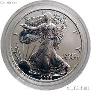 2006-P American Silver Eagle REVERSE PROOF from 20th Anniversary Set in Capsule