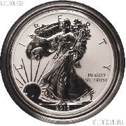 2013-W American Silver Eagle REVERSE PROOF Coin from US Mint Set in Capsule