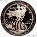 2013-W American Silver Eagle ENHANCED UNCIRCULATED Coin from US Mint Set in Capsule