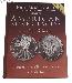 American Silver Eagles: A Guide to the US Bullion Coin Program 2nd Edition by John Mercanti