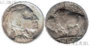 1913 Buffalo Nickel Type 2 in AU+ Condition