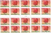 2008 Love 42 Cent US Postage Stamp Unused Sheet of 20 Scott #4270