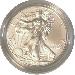 2013-W Burnished BU American Silver Eagle * 1oz Silver