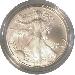 2006-W Burnished BU American Silver Eagle * 1oz Silver