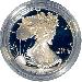 1991 Silver Eagle PROOF In Box with COA 1991-S American Silver Eagle Dollar Proof