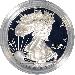 2002 Silver Eagle PROOF In Box with COA 2002-W American Silver Eagle Dollar Proof
