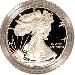 2006 Silver Eagle PROOF In Box with COA 2006-W American Silver Eagle Dollar Proof