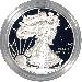 2013 Silver Eagle PROOF In Box with COA 2013-W American Silver Eagle Dollar Proof