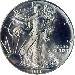 1989 American Silver Eagle Dollar BU 1oz Silver Uncirculated Coin