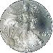 2000 American Silver Eagle Dollar BU 1oz Silver Uncirculated Coin
