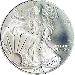 2007 American Silver Eagle Dollar BU 1oz Silver Uncirculated Coin