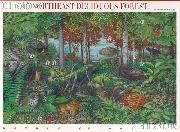 2005 Northeast Deciduous Forest 37 Cent US Postage Stamp Unused Sheet of 10 Scott #3899