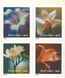 2000 4 Flowers 34 Cent US Postage Stamp Unused Booklet of 20 Scott #3457E.