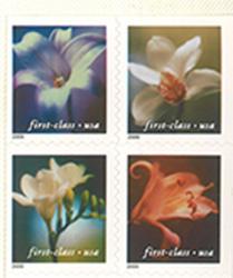 2000 4 Flowers 34 Cent US Postage Stamp Unused Booklet of 20 Scott #3457E.