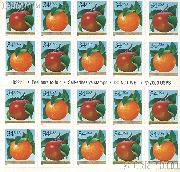 2001 Apple and Orange 34 Cent US Postage Stamp Unused Booklet of 20 Scott #3491 - #3492