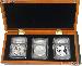 2006 American Silver Eagle 20th Anniversary Coin Set in ICG 70 First Day of Issue Holders