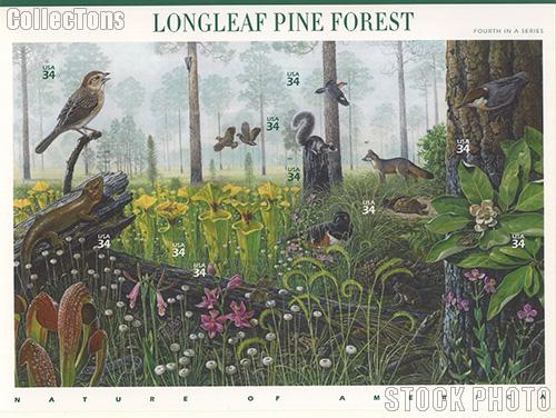 2002 Longleaf Pine Forest 34 Cent US Postage Stamp Unused Sheet of 10 Scott #3611