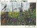 2002 Longleaf Pine Forest 34 Cent US Postage Stamp Unused Sheet of 10 Scott #3611