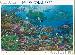 2004 Pacific Coral Reef 37 Cent US Postage Stamp Unused Sheet of 10 Scott #3831