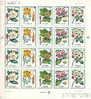 click for larger images